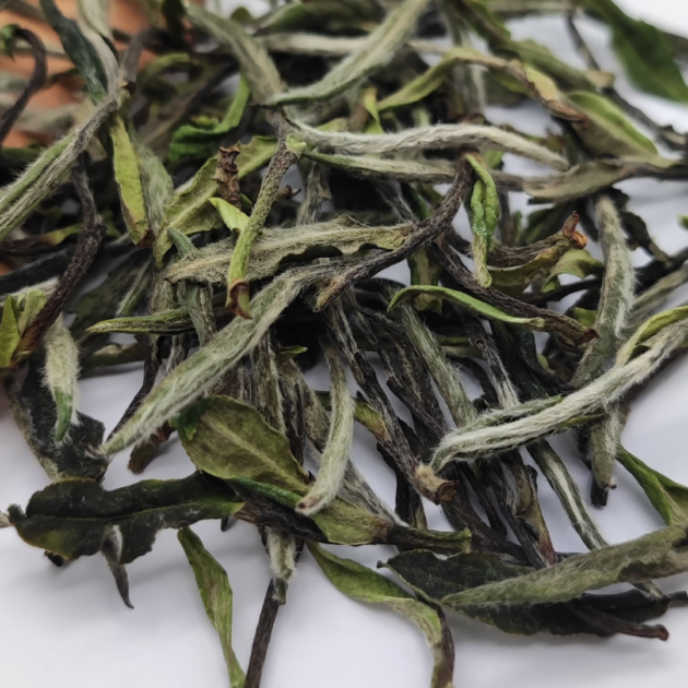 Bai Mu Dan è un tè bianco della Cina