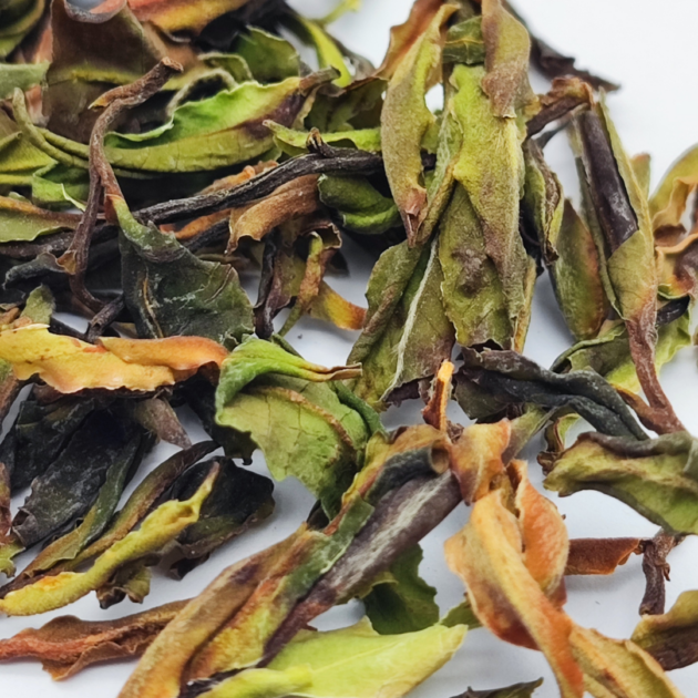 Yunnan Yue Guang Bai Wild Purple Varietal è un tè bianco della Cina