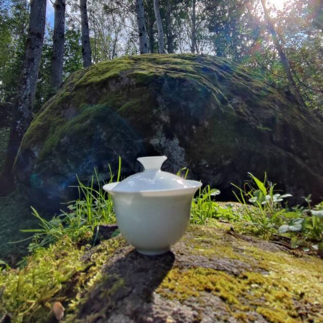 Infondi Tè Gong Fu Cha Edition