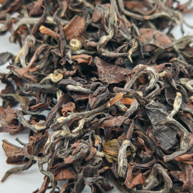 Yunnan Oriental Beauty