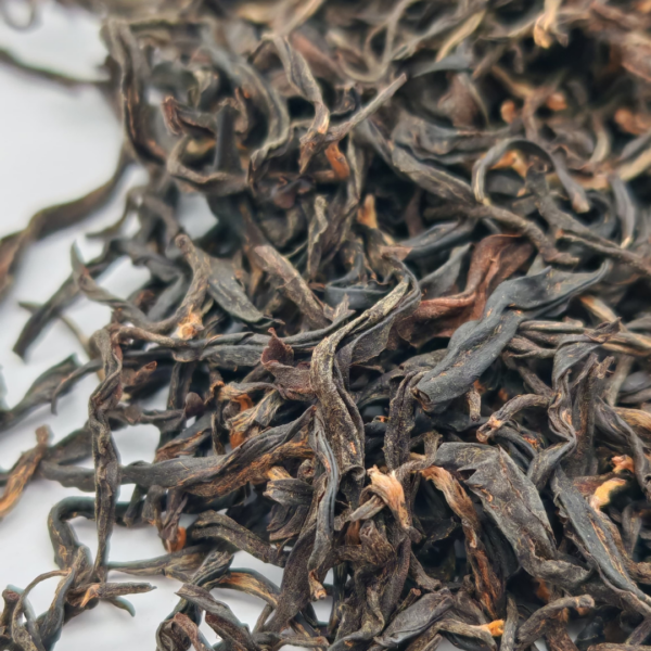 Yunnan Gushu Red Beauty