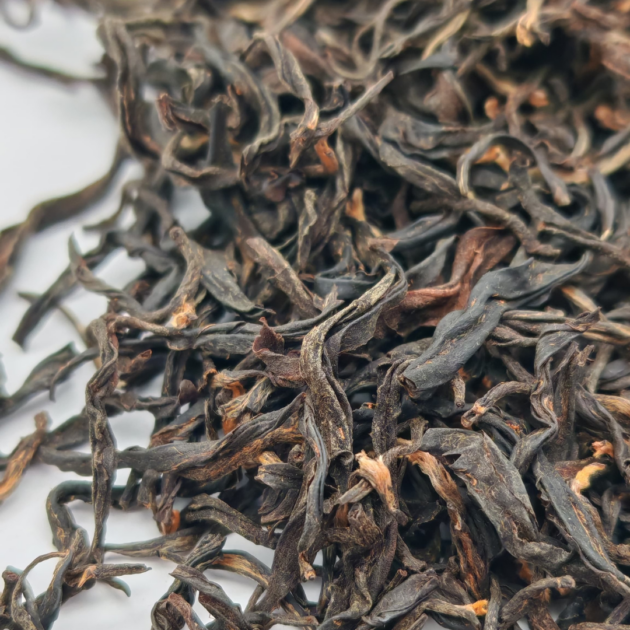 Yunnan Gushu Red Beauty
