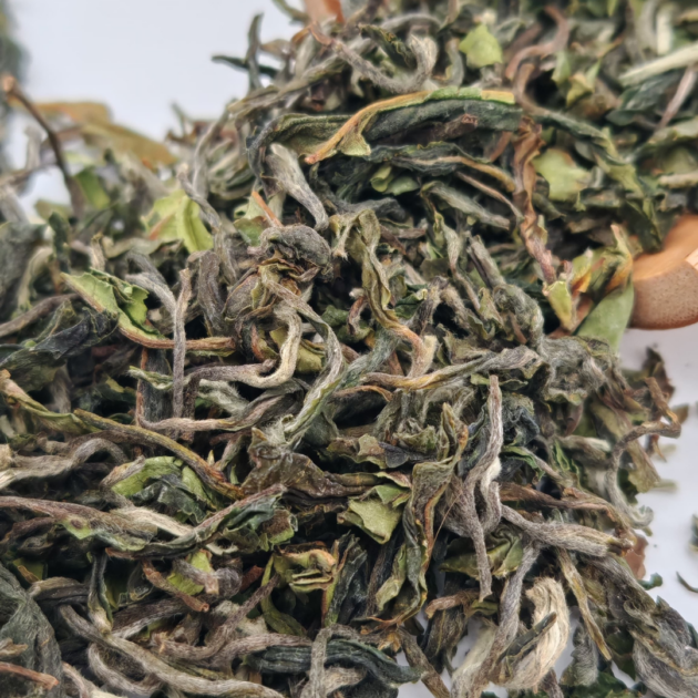 Turzum Mystic Darjeeling First Flush 2025