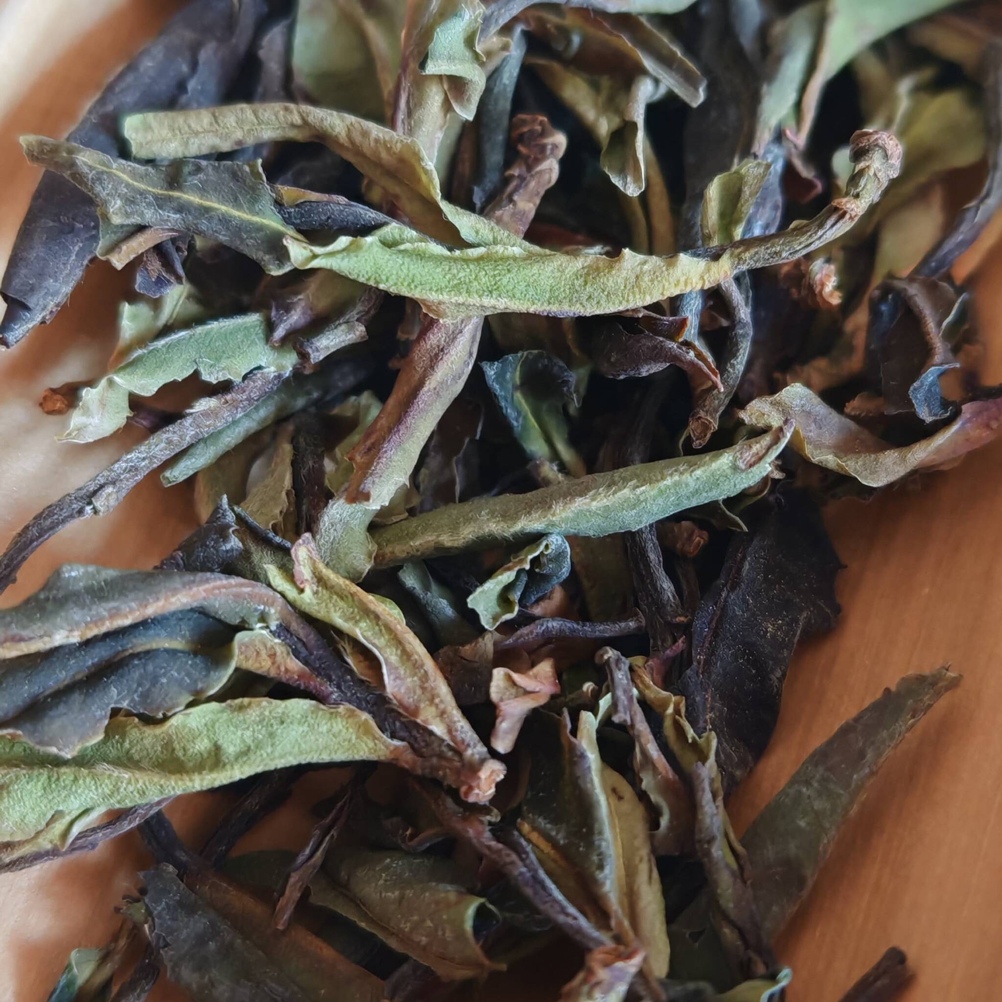 Yue Guan Bai Purple