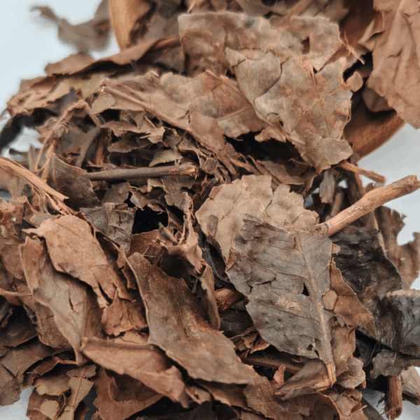 An Bang Vietnamese Traditional Black 2019