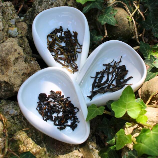 Corso Tea Tasting