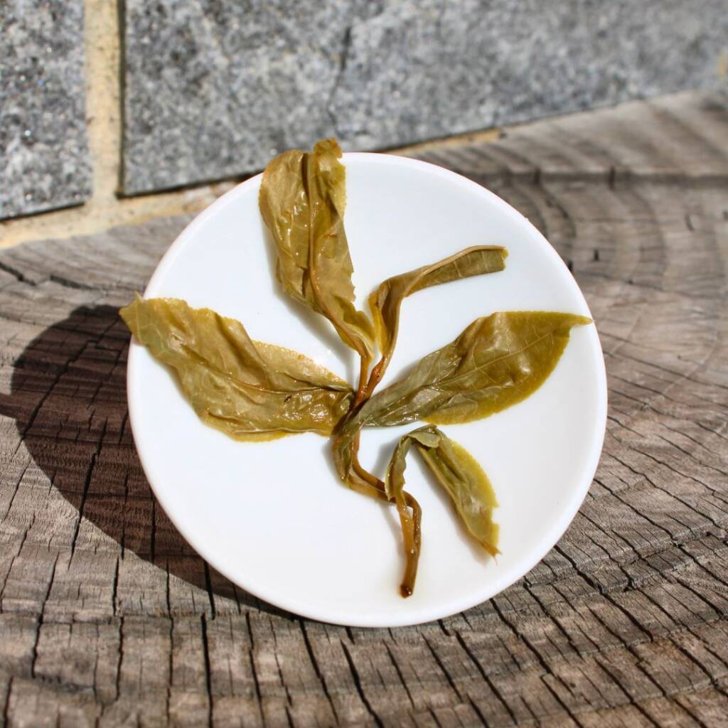 Jungle Thai Oolong foto Gaia