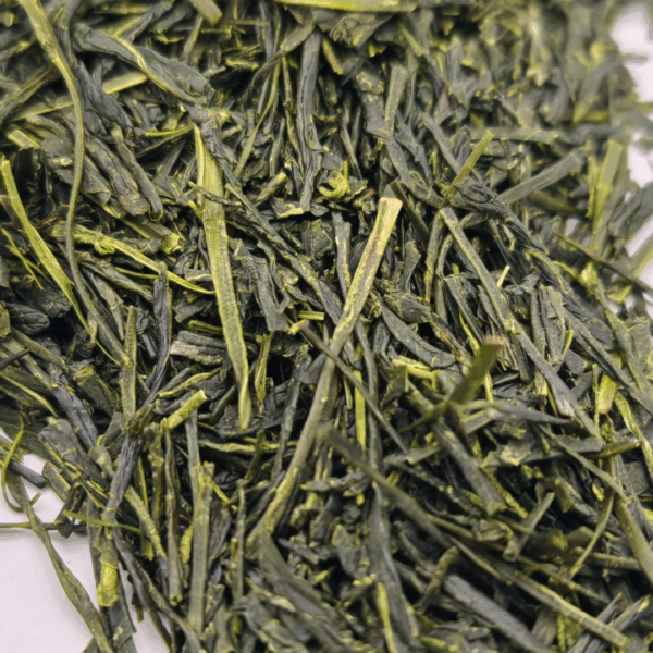 Sencha Harumidori 2025 foglie