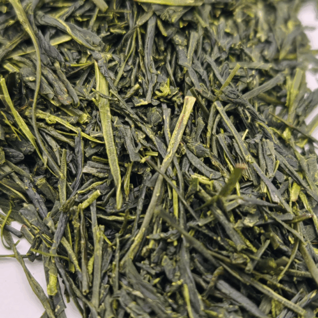 Sencha Harumidori 2025 foglie