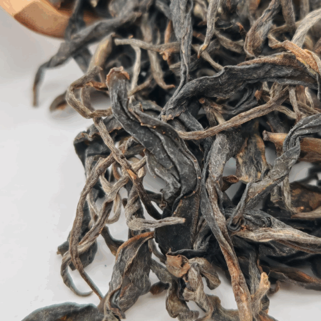 Wakocha Izumi First Flush 2024