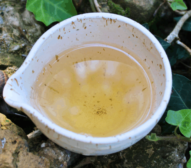 Perché il tè verde è amaro